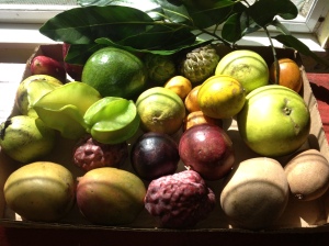 Aberra's Fruit Box